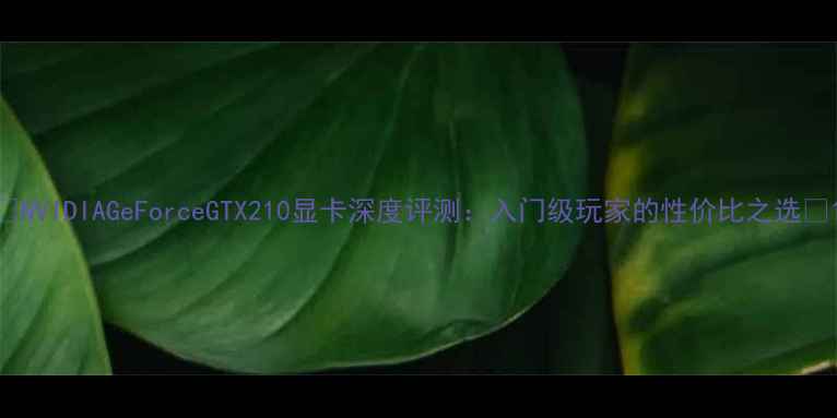图片 🌟NVIDIAGeForceGTX210显卡深度评测：入门级玩家的性价比之选🌟1