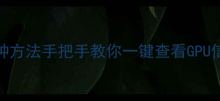 图片 🌟显卡参数大公开！5种方法手把手教你一键查看GPU信息（附工具推荐）🌟1