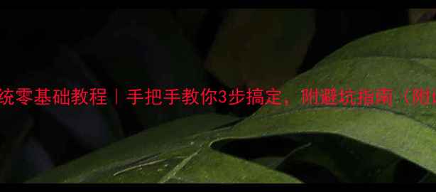 图片 🌟电脑重装系统零基础教程｜手把手教你3步搞定，附避坑指南（附详细图文）💻1