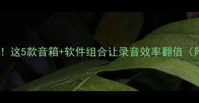 图片 🎧电脑录音神器！这5款音箱+软件组合让录音效率翻倍（附保姆级教程）1