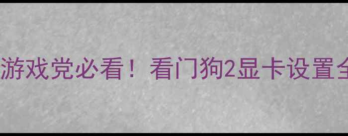 图片 🎮游戏党必看！看门狗2显卡设置全2
