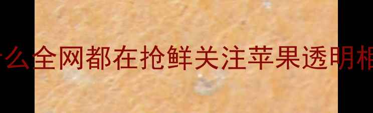 图片 💡为什么全网都在抢鲜关注苹果透明相机？1