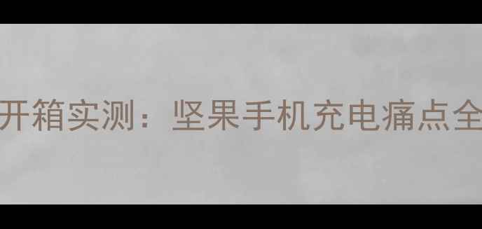 图片 💡开箱实测：坚果手机充电痛点全💡