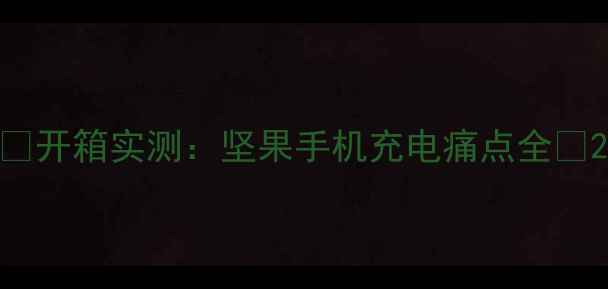 图片 💡开箱实测：坚果手机充电痛点全💡2