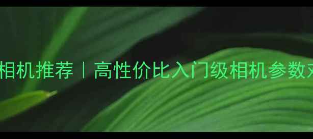 图片 💰1000元以下相机推荐｜高性价比入门级相机参数对比+避坑指南