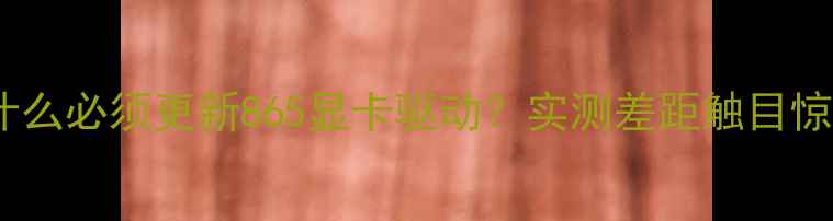 图片 💻为什么必须更新865显卡驱动？实测差距触目惊心！1