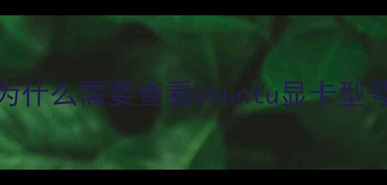 图片 💻为什么需要查看Ubuntu显卡型号？