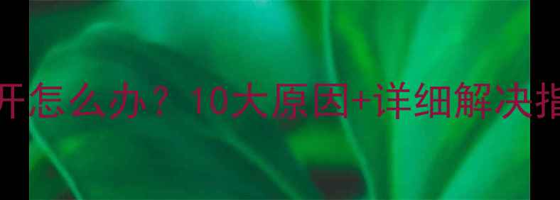 图片 💻🔍电脑网页打不开怎么办？10大原因+详细解决指南（附操作步骤）