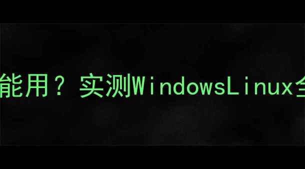 图片 📌无独显电脑真的能用？实测WindowsLinux全场景性能大！🔥1