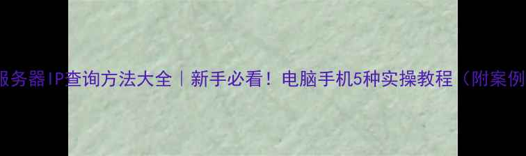 图片 📌服务器IP查询方法大全｜新手必看！电脑手机5种实操教程（附案例）2