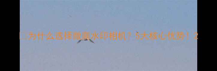 图片 📱为什么选择微商水印相机？5大核心优势！2