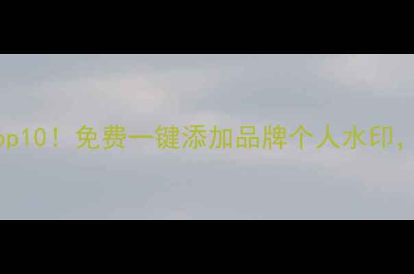 图片 📱安卓水印相机推荐Top10！免费一键添加品牌个人水印，拍照防偷图神器来了2