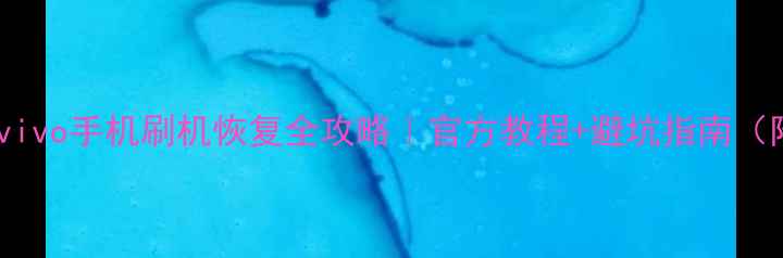 图片 📱手把手教学vivo手机刷机恢复全攻略｜官方教程+避坑指南（附详细步骤）1
