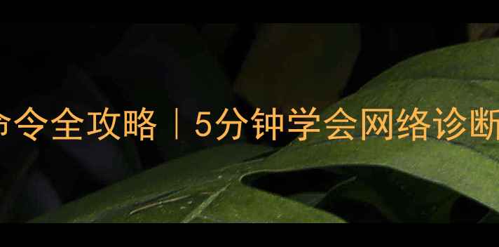 图片 📱手机ping命令全攻略｜5分钟学会网络诊断的终极指南2