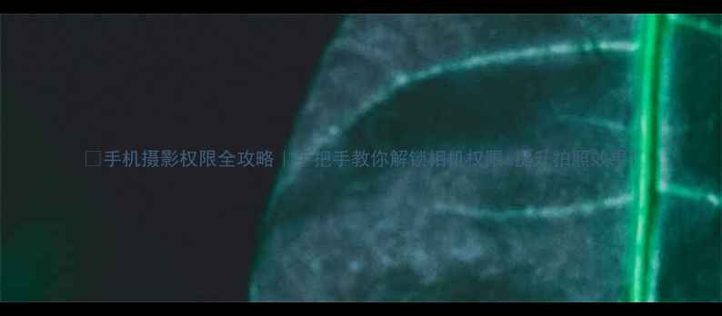 图片 📱手机摄影权限全攻略｜手把手教你解锁相机权限+提升拍照效果1