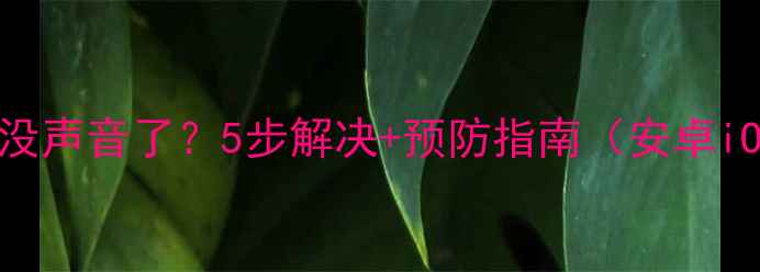 图片 📱手机突然没声音了？5步解决+预防指南（安卓iOS全机型）1
