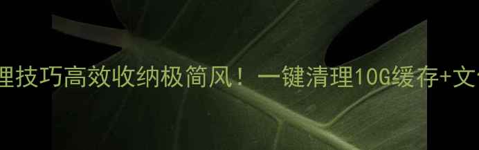 图片 📱电脑桌面整理技巧高效收纳极简风！一键清理10G缓存+文件分类大公开1