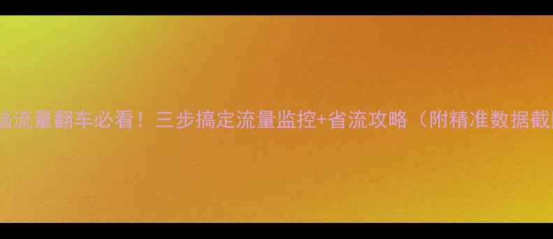 图片 📱电脑流量翻车必看！三步搞定流量监控+省流攻略（附精准数据截图）1