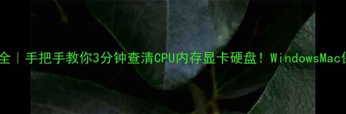 电脑配置全手把手教你3分钟查清CPU内存显卡硬盘WindowsMac保姆级教程