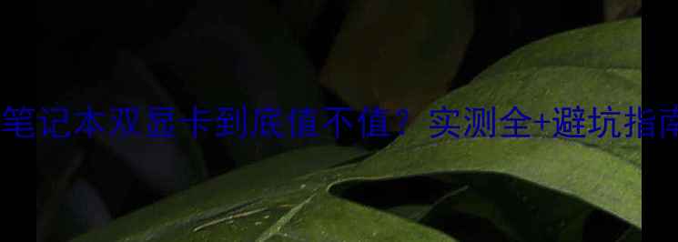图片 📱笔记本双显卡到底值不值？实测全+避坑指南2