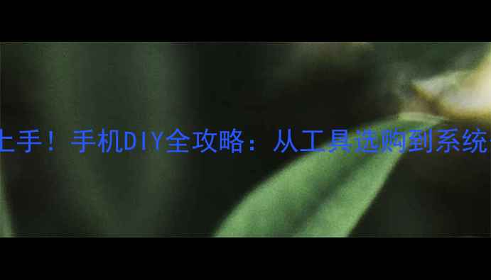 图片 📱零基础也能上手！手机DIY全攻略：从工具选购到系统安装避坑指南2