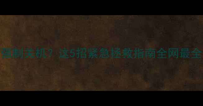 图片 📱💻电脑突然黑屏无法强制关机？这5招紧急拯救指南全网最全！小白也能轻松搞定🔥