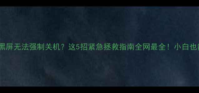 图片 📱💻电脑突然黑屏无法强制关机？这5招紧急拯救指南全网最全！小白也能轻松搞定🔥1