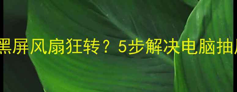 图片 📱💻电脑突然黑屏风扇狂转？5步解决电脑抽风急救指南！1