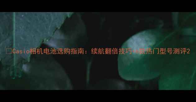 图片 📸Casio相机电池选购指南：续航翻倍技巧+6款热门型号测评2