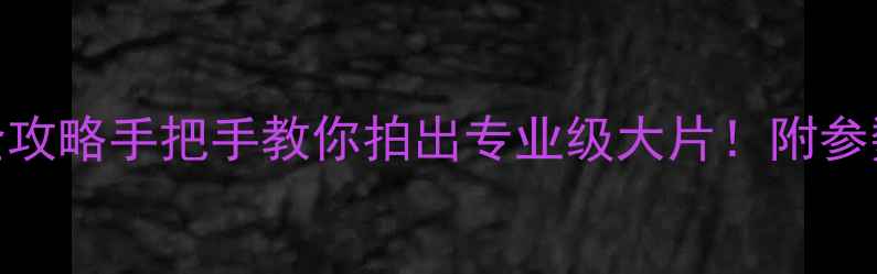 图片 📸EXIF相机使用全攻略手把手教你拍出专业级大片！附参数设置+修图技巧1