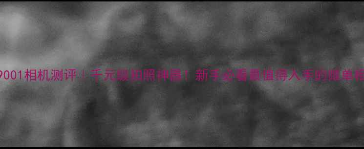 图片 📸i9001相机测评｜千元级拍照神器！新手必看最值得入手的微单相机2