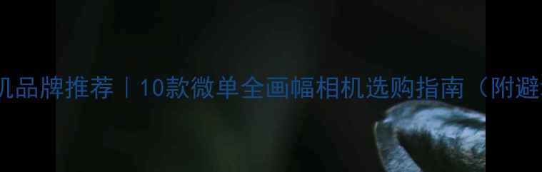 图片 📸专业相机品牌推荐｜10款微单全画幅相机选购指南（附避坑技巧）2