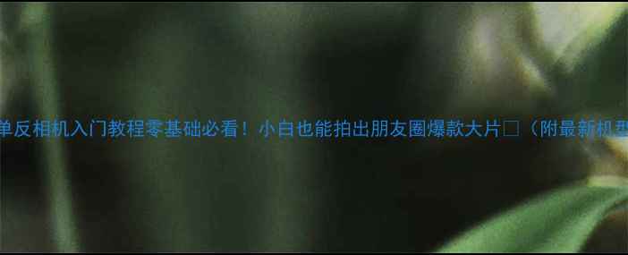 图片 📸佳能单反相机入门教程零基础必看！小白也能拍出朋友圈爆款大片✨（附最新机型推荐）