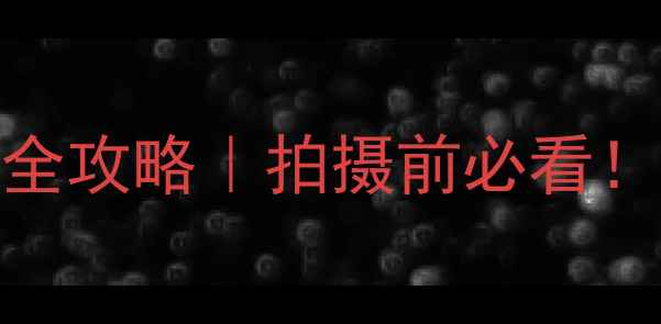 佳能相机电池保养全攻略拍摄前必看5个技巧让续航翻倍