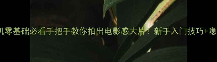 图片 📸卡西欧相机零基础必看手把手教你拍出电影感大片！新手入门技巧+隐藏功能全🔥1