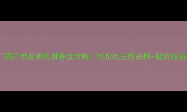 图片 📸国产单反相机推荐全攻略｜性价比王炸品牌+避坑指南1