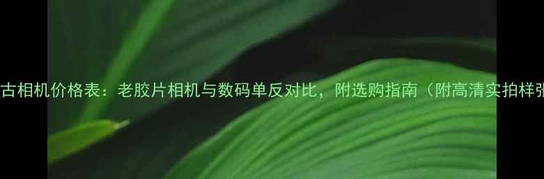 图片 📸复古相机价格表：老胶片相机与数码单反对比，附选购指南（附高清实拍样张）1