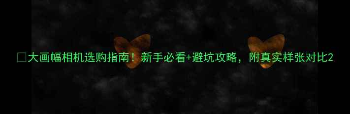 图片 📸大画幅相机选购指南！新手必看+避坑攻略，附真实样张对比2