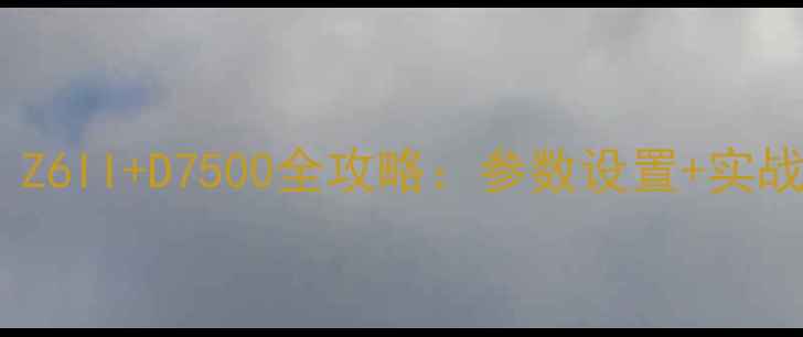 图片 📸尼康单反入门必看！Z6II+D7500全攻略：参数设置+实战技巧（附详细清单）2