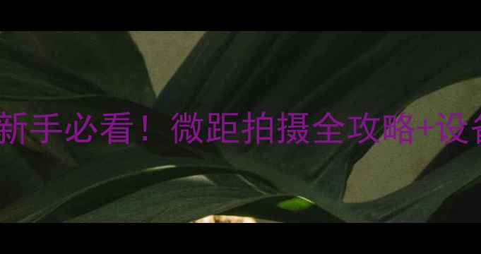 图片 📸微距摄影相机推荐｜新手必看！微距拍摄全攻略+设备清单（附参数设置）1