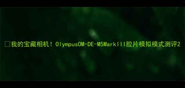 图片 📸我的宝藏相机！OlympusOM-DE-M5MarkIII胶片模拟模式测评2
