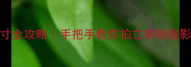 图片 📸手机照片打印尺寸全攻略｜手把手教你拍立得相框影集专业出片！🖨️