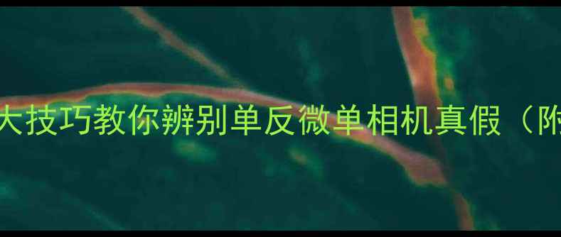 图片 📸数码博主亲测！5大技巧教你辨别单反微单相机真假（附防伪标识图鉴）📸1