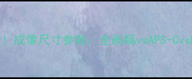 图片 📸数码相机必看！成像尺寸参数：全画幅vsAPS-CvsM43的选购指南1