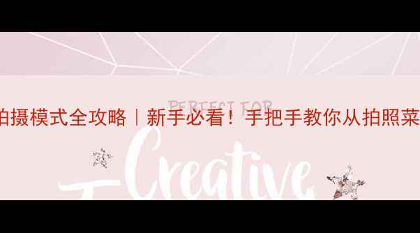 数码相机拍摄模式全攻略新手必看手把手教你从拍照菜鸟变大师