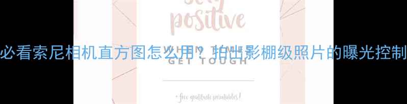 图片 📸新手必看索尼相机直方图怎么用？拍出影棚级照片的曝光控制秘籍！