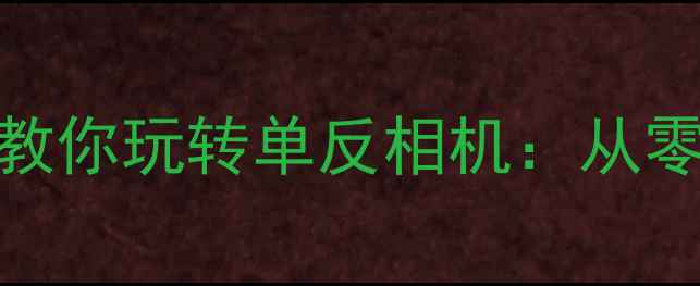 图片 📸新手必看！手把手教你玩转单反相机：从零基础到出片全攻略📸