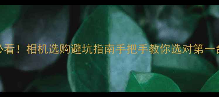 图片 📸新手必看！相机选购避坑指南手把手教你选对第一台设备💰