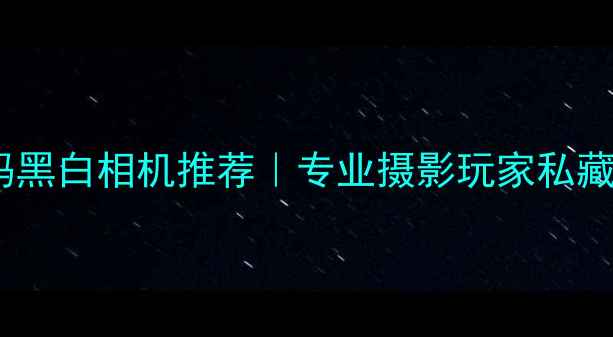图片 📸最佳数码黑白相机推荐｜专业摄影玩家私藏选购指南1