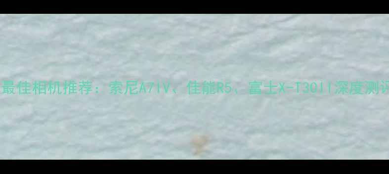 图片 📸最佳相机推荐：索尼A7IV、佳能R5、富士X-T30II深度测评1